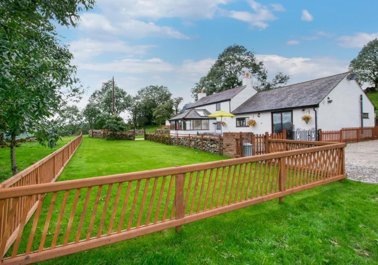 Top Y Nant Mold Exterior photo